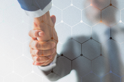 The Solution: The Web Forest Promise – The Blueprint for Your Digital Success
